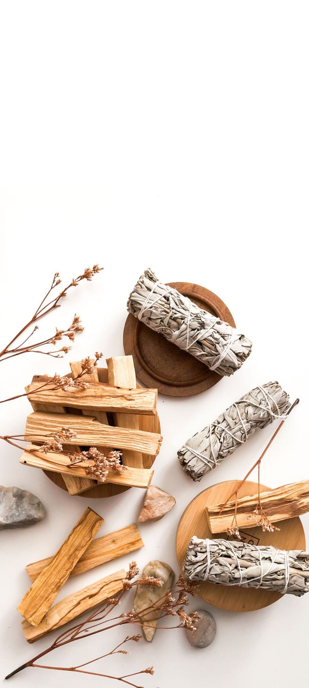 Palo Santo aus Perú 50g – Bild 5